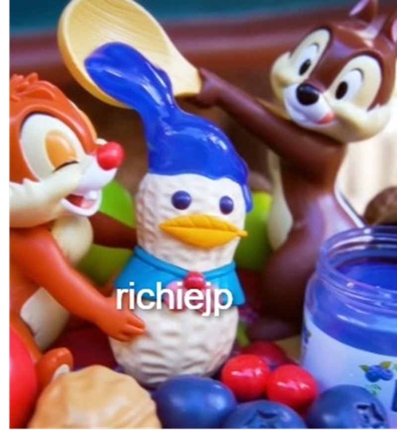 Japan Tokyo Disney Chip and Dale Donald Peanuts Popcorn Bucket