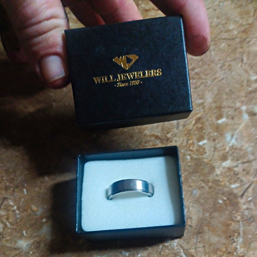 Will Jewelers Titanium Silver Band Ring Size 12 No Stone Pre-Owned