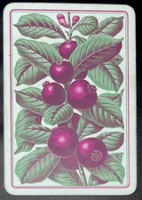 EW76 Swap Playing Card 1 OLD ENGLISH WIDE  FLOWERS & FRUITS