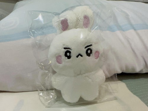 STRAY KIDS GOODS PLUSH DOLL SKZOO TOY 10CM KEYCHAIN CHRISTMAS BIRTHDAY XMAS GIFT - Picture 4 of 38