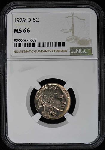 1929-D Buffalo Nickel Type 2 5C NGC MS66