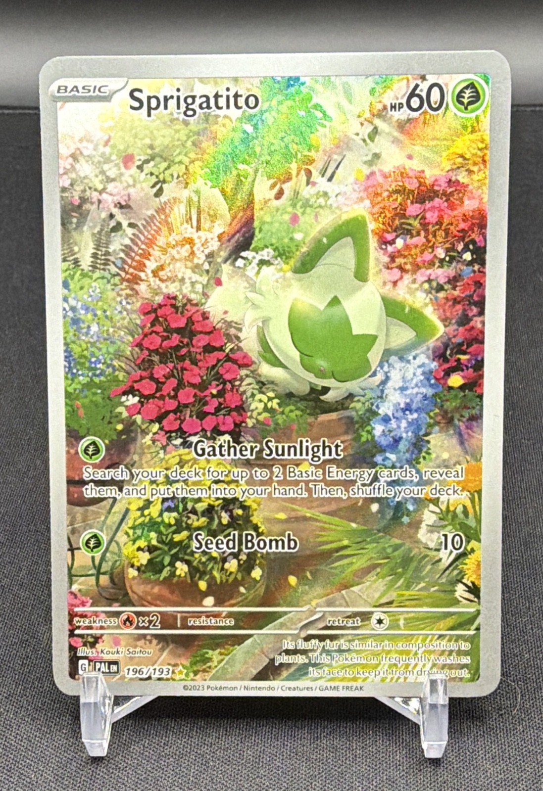 Sprigatito 196/193 Sv02: Paldea Evolved Holo *LP+*