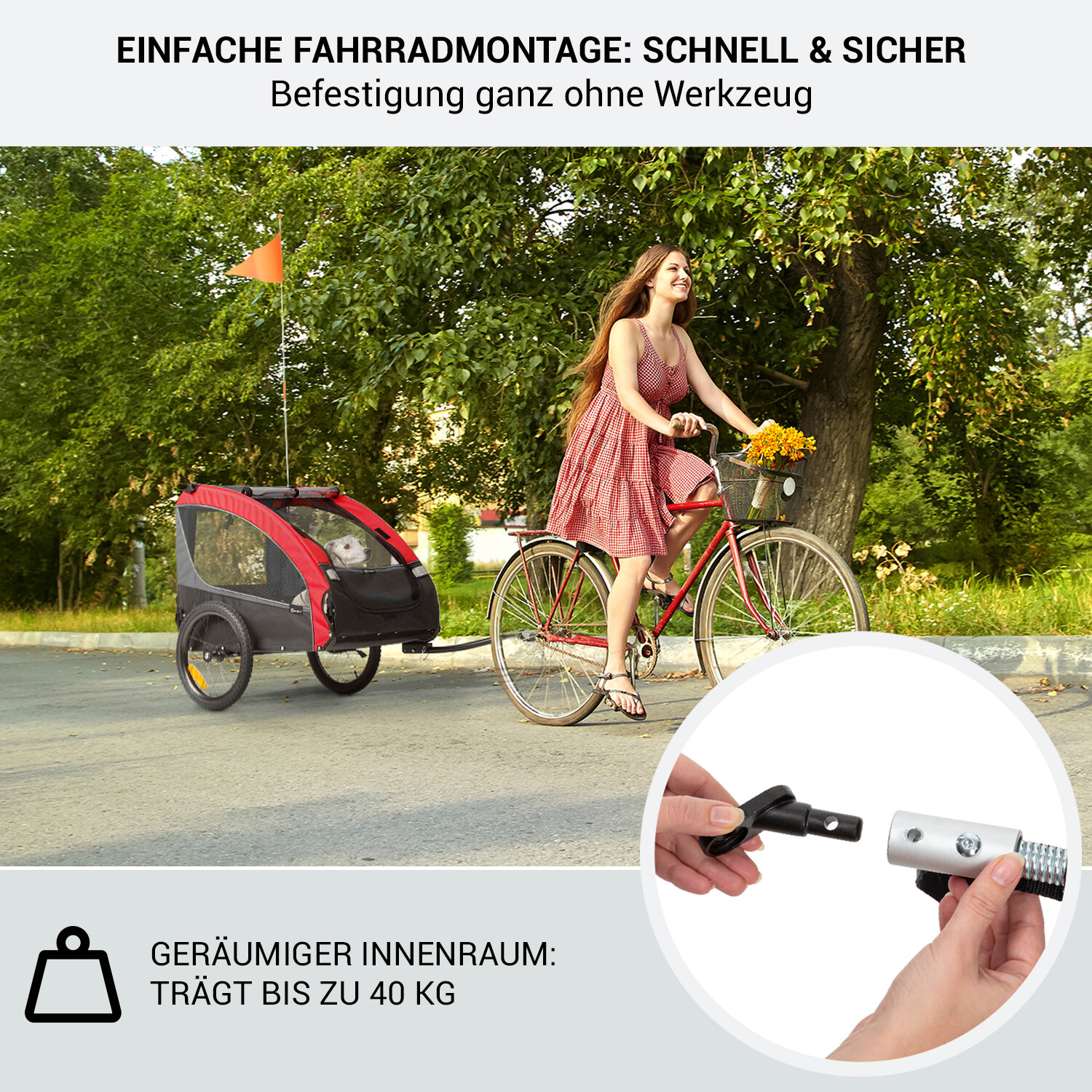 Bild 3 von 11