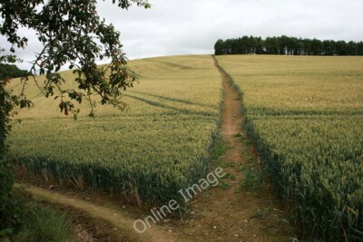 Foto 6x4 Pfadkreuzung Easthope Der Shropshire Weg biegt links ab, während Str c2010