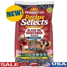 High-Quality Black Oil Sunflower Seed Wild Birds 20lb Premium Bird Food New