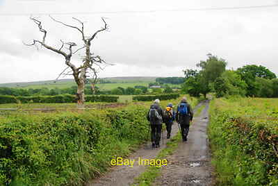 Track to higher ground The track leaves the low-lying land by t c2012
