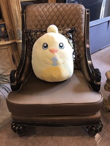 squish mellow duck squish mellow duck