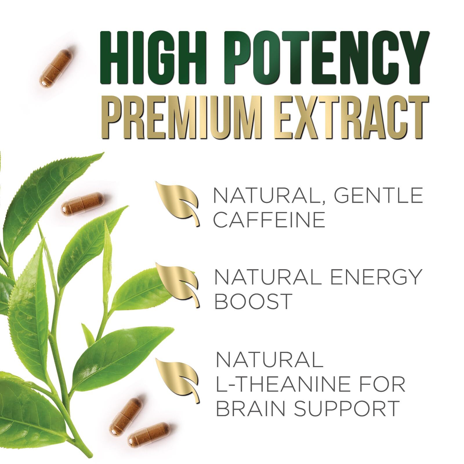 Green Tea Extract Capsules 1000mg 98% Standardized EGCG - 3X Strength for Nat...