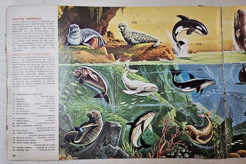 Figurine Panini - 1975 - Super Zoo Sticker Album - Complete - Bild 8 von 11