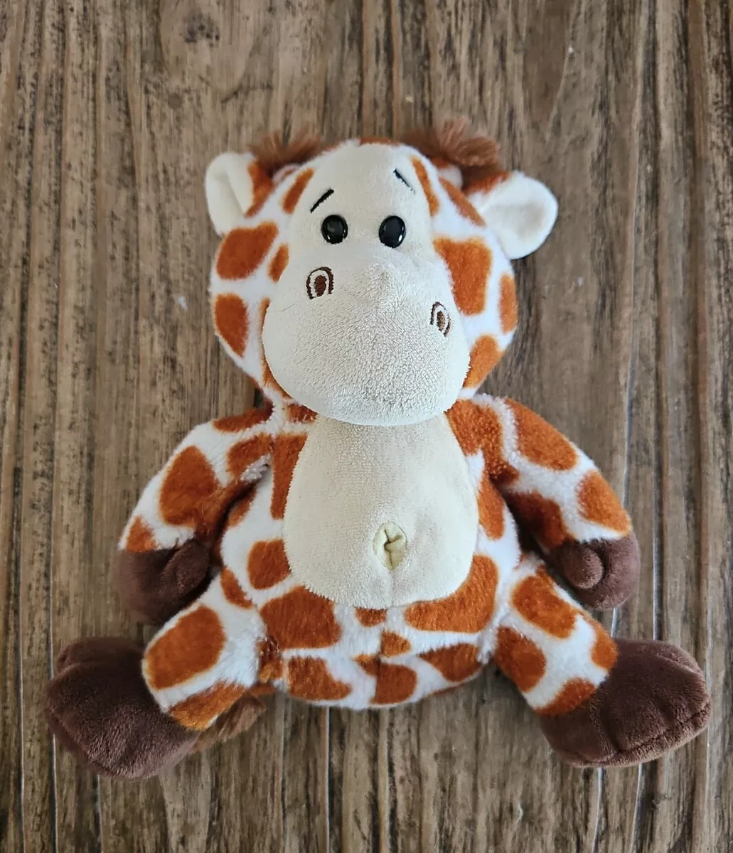 Giraffe 2024 belly button