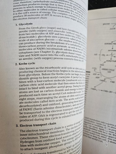 Anatomy and Physiology Workbook Fo- paperback, 047016932X, Janet Rae-Dupree - Picture 4 of 7