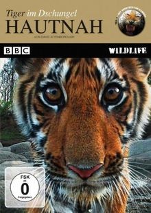 Hautnah - Tiger im Dschungel von Downer, John | DVD | Zustand gut