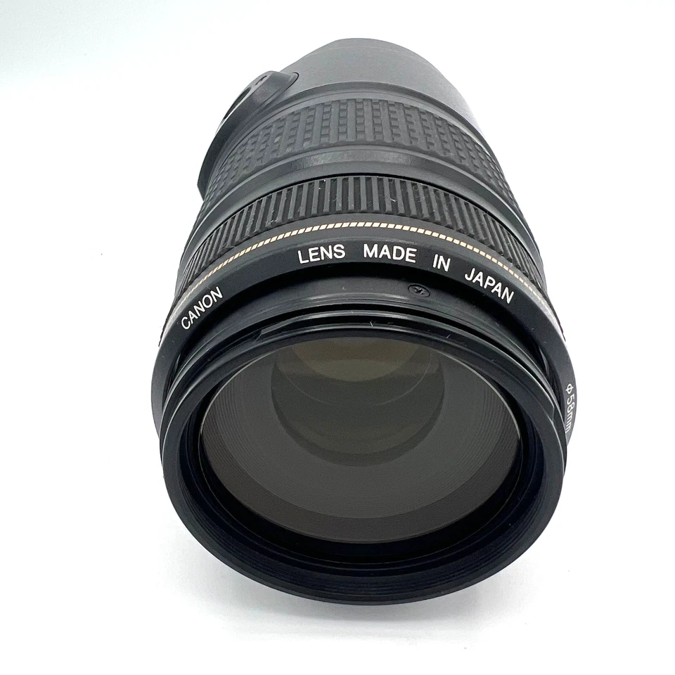 Canon EF 75-300mm f/4-5.6 IS USM Telephoto Zoom Lens EOS 5D 6D 7D Tested - Image 3 of 4