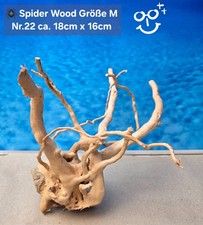 🪸 Moorkienwurzel- Spiderwood 🕸 Größe M  Aquarium Wurzel Hardscape
