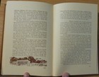 Foto 14 di 18