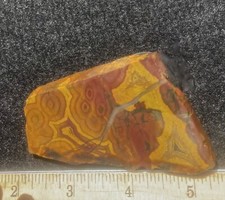 Obicular Pilbara Jasper Unusual Slab 48 Grams - 1.7Oz