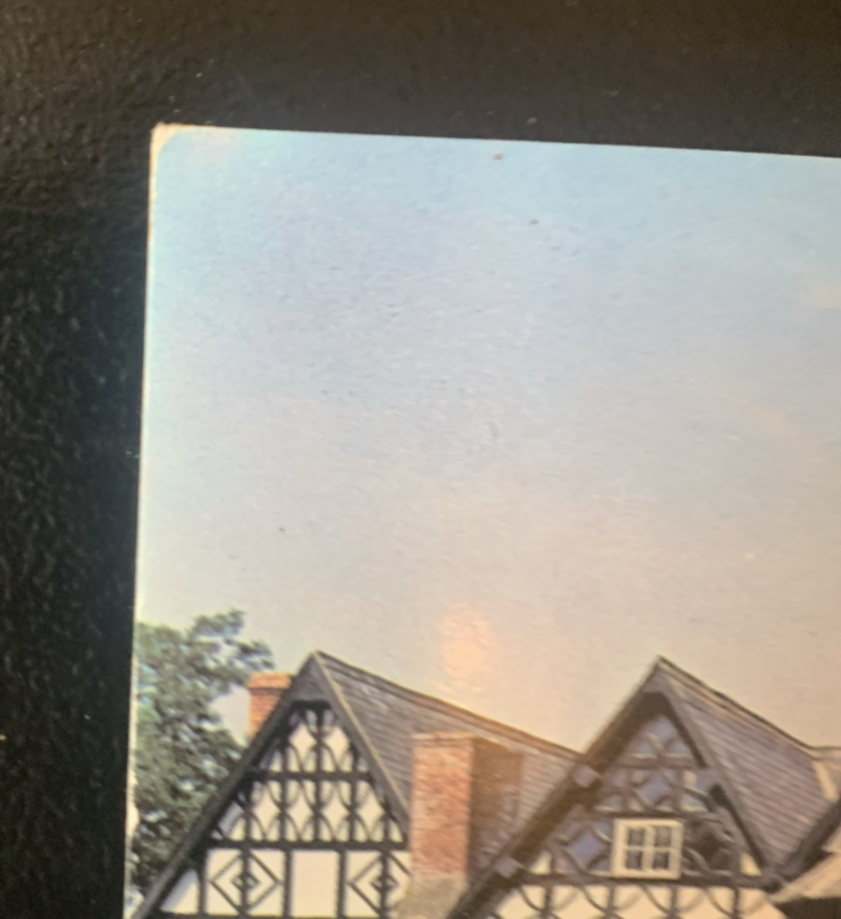 Picture 4 of 14