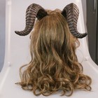 Foto 6 di 9