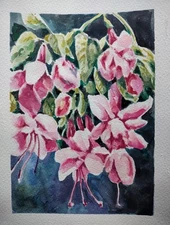 Pink Flowers Watercolor. 9x12 . Original Signed By Mayte Sosa