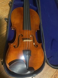 Roderich Paesold | eBay