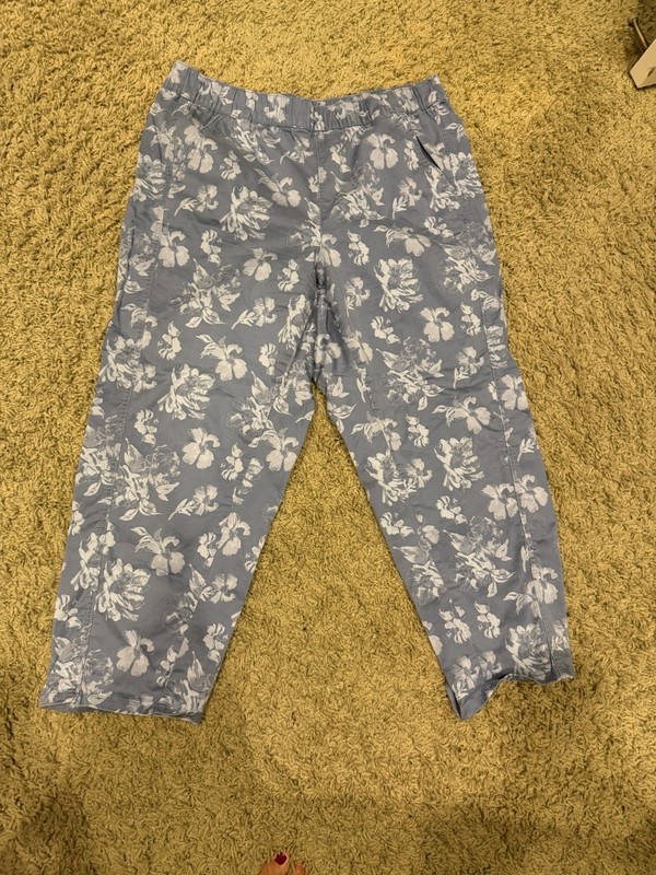 Lane Bryant Plus Size Satin Chino Ankle Pants Elastic Waist Blue Pull On 18