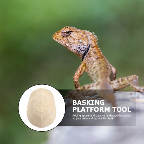 Tortue Abri Tortue Dock Flottant Tortue Habitat Accessoires Reptile collection Élevage Abri