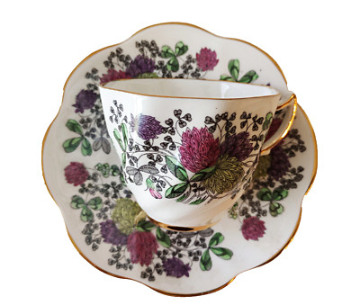 Rosina English Teacup and Saucer Clover Design Gold Tone Trim Floral Bone China