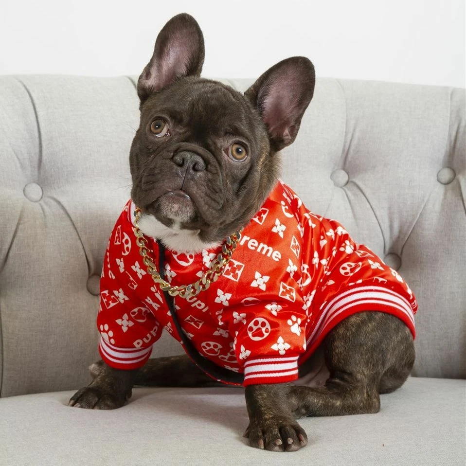 Chanel Dog Clothing 