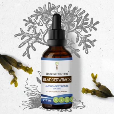 Secrets Of The Tribe Bladderwrack Tincture Alcohol-FREE