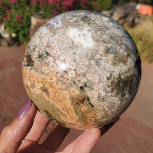 3lbs+ Kambaby Ocean Jasper 8th Vein Old Stock Orbicular Druzy Veins | 1340 gram - Picture 9 of 10
