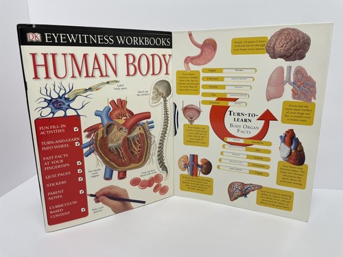 DK Eyewitness Workbooks Human Body (DK Eyewitness - Paperback, by DK - Like New - Picture 4 of 5