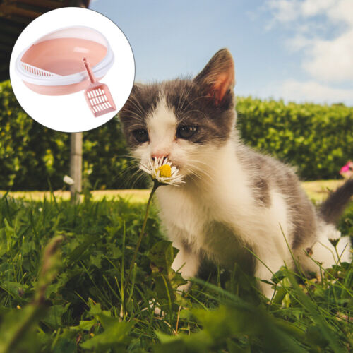 Katzenstreu Schaufel Mit Kapuze Wurf Box Einweg Wurf Box Katze Box - Bild 11 von 12