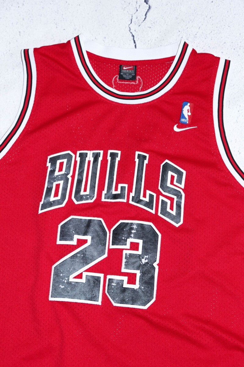 Nike TEAM NBA Vintage Chicago Bulls Jordan 23 Basketball Mesh
