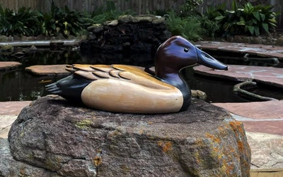Decoy — Canvasback von Tom Taber - Bild 1 von 4