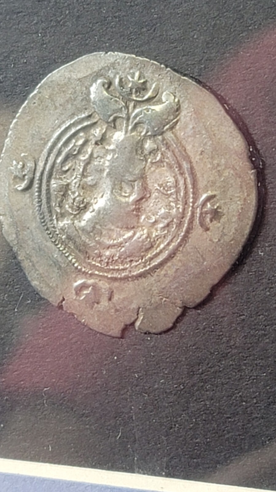 Picture 3 of 12