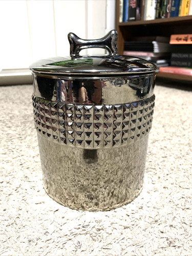 Unleashed Life Elevated Canister Raised Dog & Cat Food Canister Jar Chrome Cover