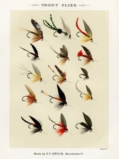 Trout Fishing Flies V from Favorite Flies and Their Histories Giclee Art Print