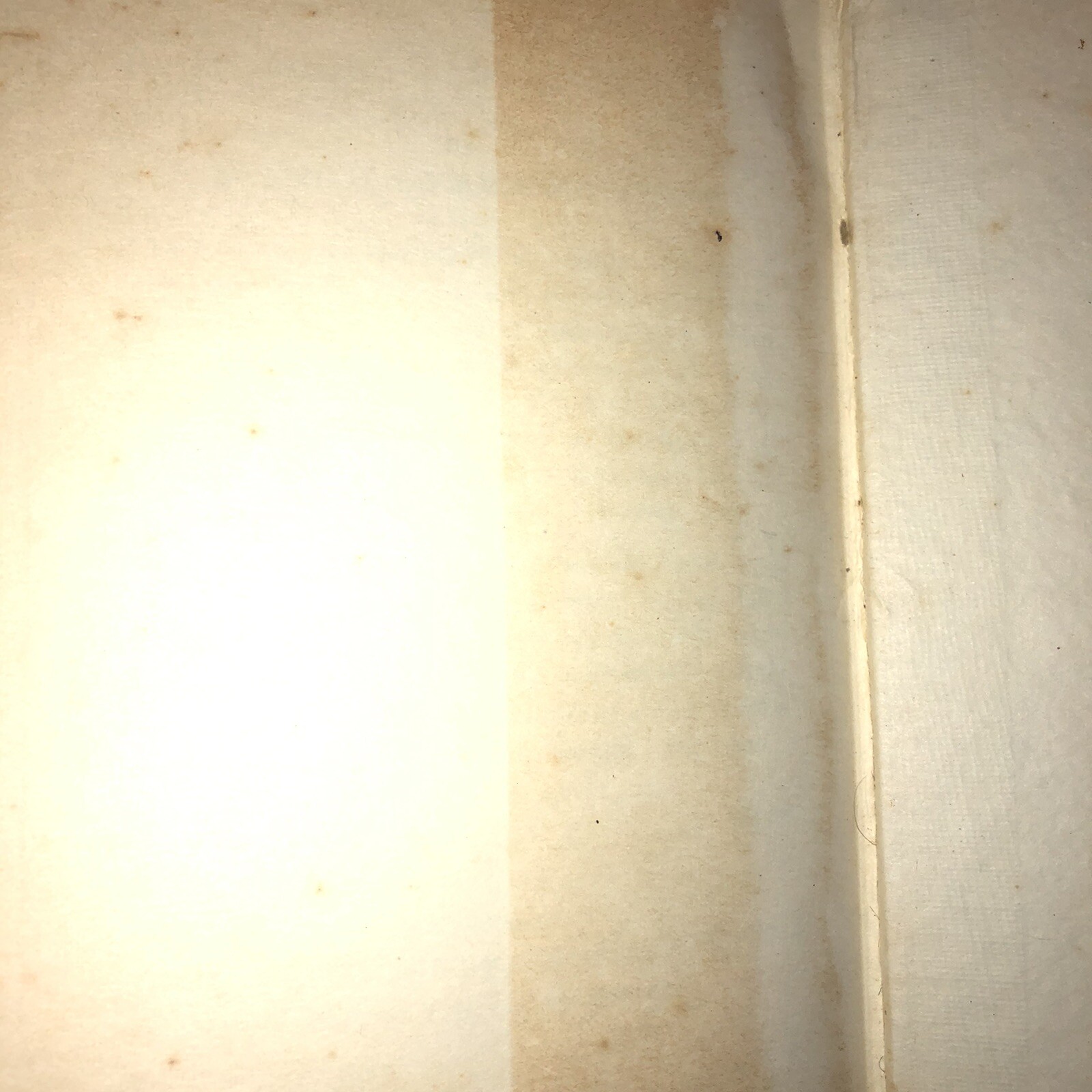Picture 9 of 12