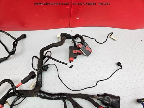 CABLAGGIO IMPIANTO ELETTRICO 856814 APRILIA DORSODURO 750 2008 2016 896741 - Foto 3 di 24