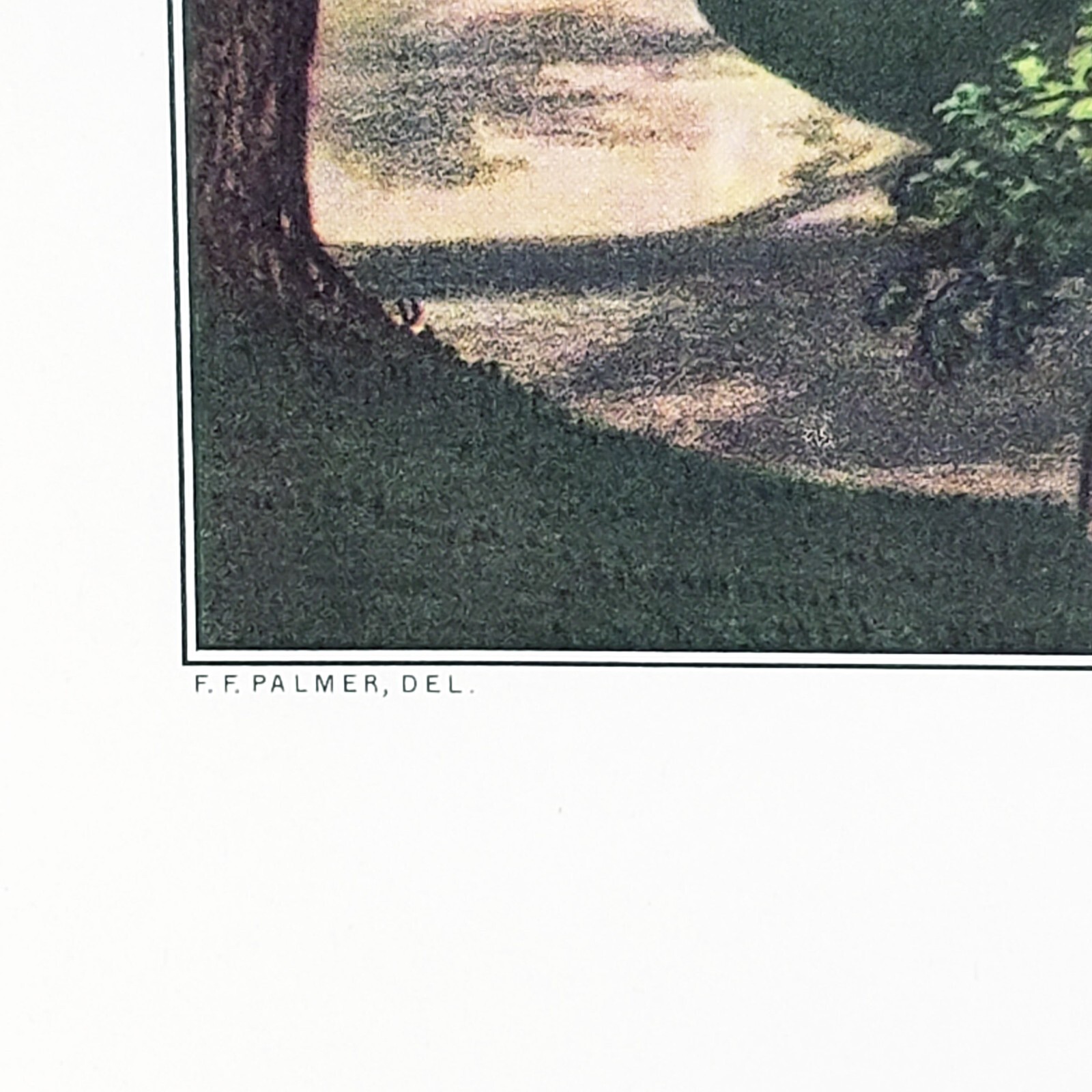Picture 7 of 10