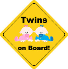 Twins On Board Cute Car Bumper Sticker Decal