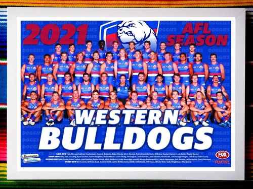 Framed 2021 WESTERN BULLDOGS AFL Poster - 45cm x 32cm x 3cm - Picture 1 of 3