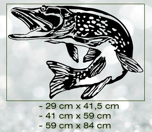 HECHT Aufkleber Auto Sticker JDM Angeln Spinnfischen Fisch Fishing Pike