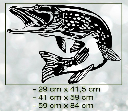 HECHT Aufkleber Auto Sticker JDM Angeln Spinnfischen Fisch Fishing Pike - Bild 1 von 6