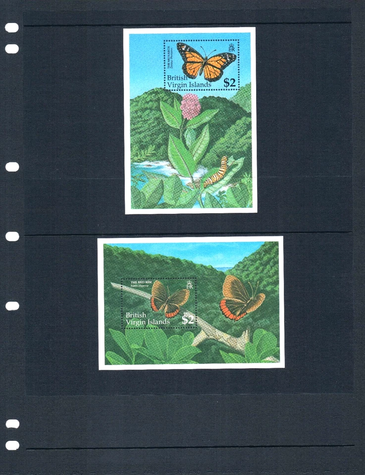 17.50 美元 Scott Value - 1991 年英属维尔京群岛 VIRGIN ISL 蝴蝶 2 秒/秒 加勒比 CV 全新 NH UMM — 第 2/4 张图片