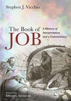 The Book Of Job Stephen J. Vicchio Taschenbuch Kartoniert / Broschiert Englisch