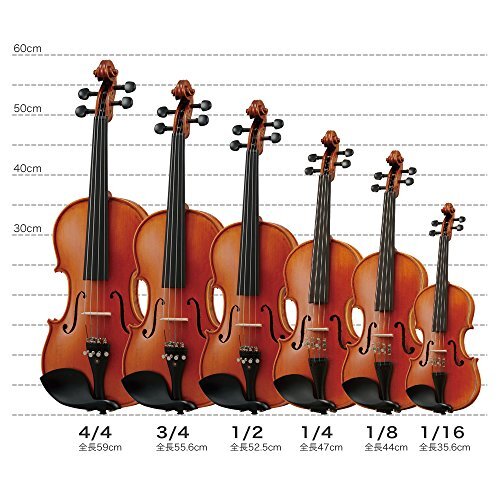 Hallstatt harusyutatto Violin V 28 | eBay