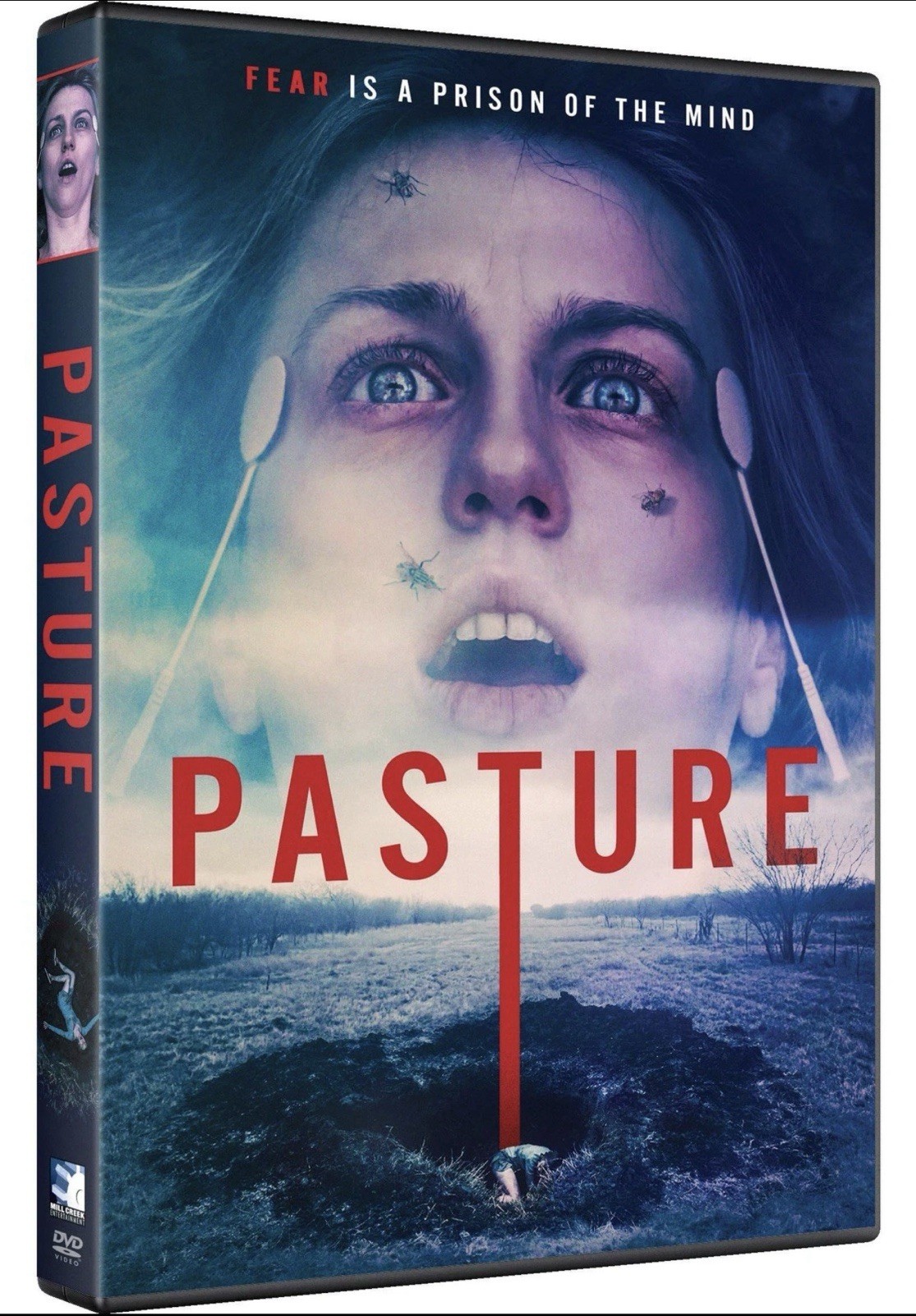 Pasture (DVD) (US IMPORT) Region 1 NTSC