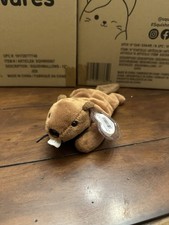 Ty Beanie Babies: Bucky The Beaver - New - With Tag Protector