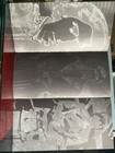 Foto 6 di 10